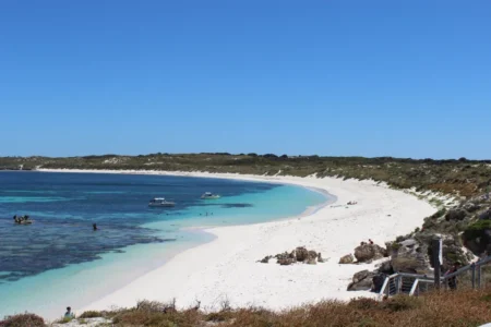 Des touristes tombent sur une créature marine de 3 m sur la plage