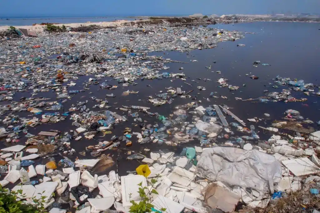 Des biologistes découvrent des dizaines d'espèces vivant sur le continent de plastique du Pacifique : faut-il encore le nettoyer ? Le débat fait rage