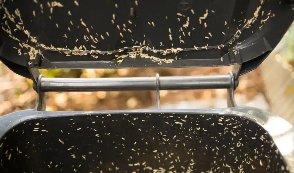 Ni javel ni insecticide : voici ce qu'il faut vraiment utiliser pour éliminer les asticots dans les bacs en été