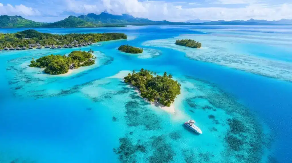 « C'est notre mission en tant qu'Océanien » : la Polynésie annonce une protection marine sur 1,6 millions de km² alors que la plupart des pays reculent
