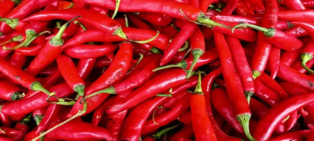 Pourquoi de plus en plus de jardiniers répandent du piment en poudre dans leur jardin en juin