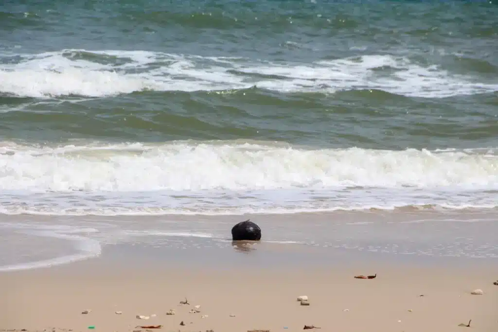 La police du Queensland confirme six sphères métalliques à Forrest Beach semblable à des météorites
