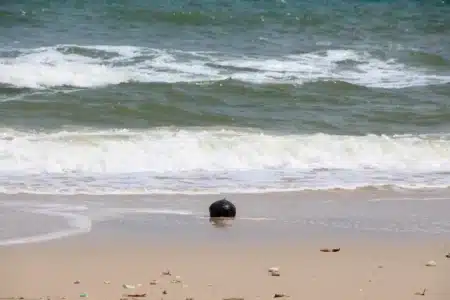 La police du Queensland confirme six sphères métalliques à Forrest Beach semblable à des météorites