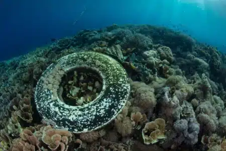 En Floride, plus de 500 000 pneus dorment encore au fond de l'océan, 56 ans après un projet raté
