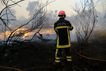 Ce 26 juillet en Gironde, le feu a encore gagné du terrain : 42 000 hectares partis en fumée alors que la préfète interdit tout retour des évacués