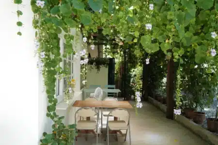 Fini le parasol : cette astuce de jardinier fait chuter les températures de 3 à 5°C