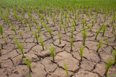 Jour du dépassement 2026 : la Terre épuise ses ressources de plus en plus tôt, et personne ne semble s'en alarmer