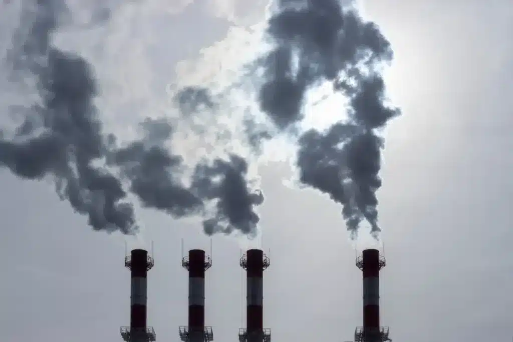 La France vise la neutralité carbone en 2050 : après des canicules record, cette feuille de route divise déjà les climatologues et les élus locaux