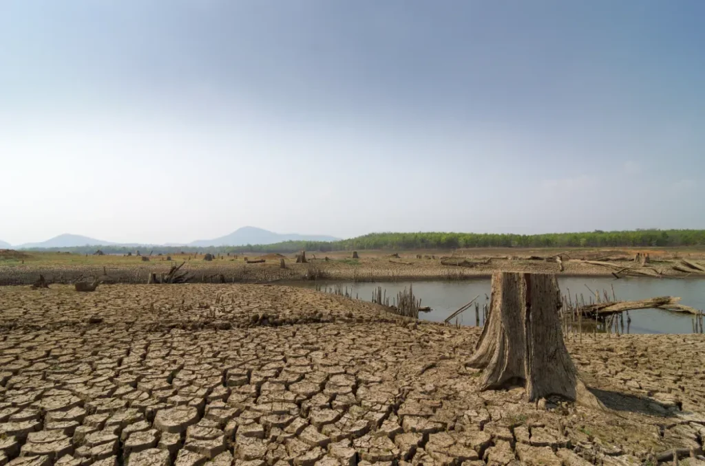 Les lacs d'eau douce perdent leur oxygène 3 à 9 fois plus vite que les océans : une synthèse mondiale alarme les biologistes