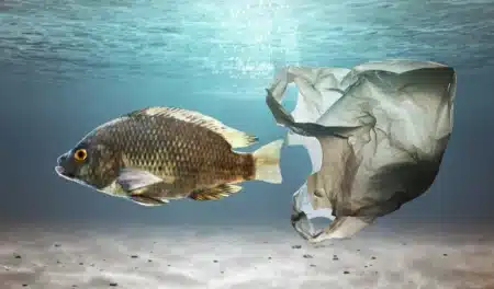 Un robot plonge à 4 000 mètres dans le Mar Argentino et filme tous les déchets posés au fond : sac plastique, cassette VHS et emballages