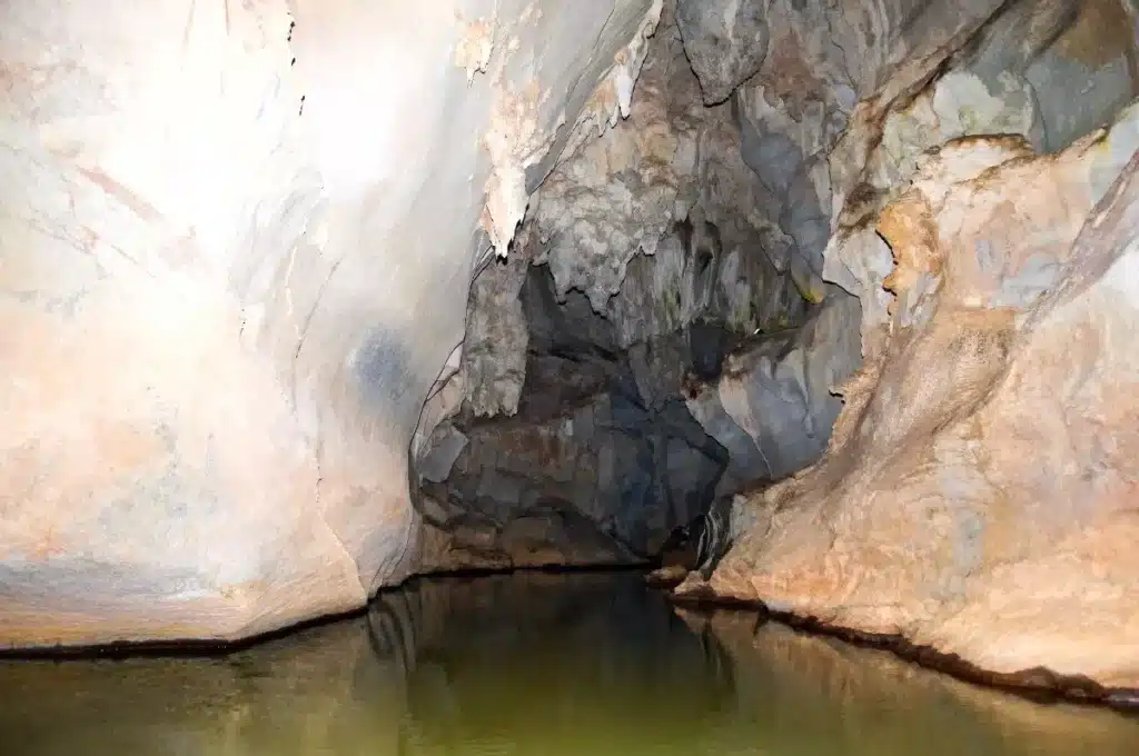 Ces « dragons miniatures » vivaient dans une grotte sud-coréenne depuis des millénaires