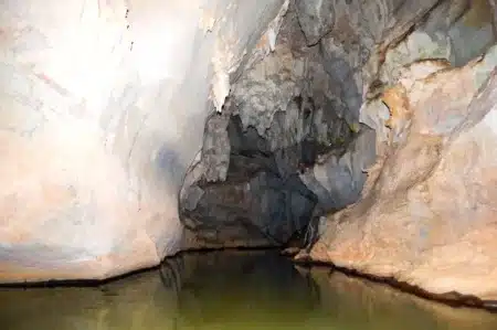 Ces « dragons miniatures » vivaient dans une grotte sud-coréenne depuis des millénaires