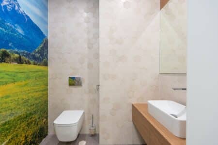 Sanitaires Toilettes Publiques Guide Tork