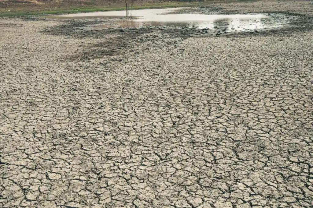 Après la canicule de juin, plus de la moitié des nappes phréatiques françaises passent sous les normales : les hydrologues n'avaient pas vu ça depuis 2022
