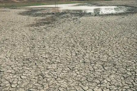 Après la canicule de juin, plus de la moitié des nappes phréatiques françaises passent sous les normales : les hydrologues n'avaient pas vu ça depuis 2022