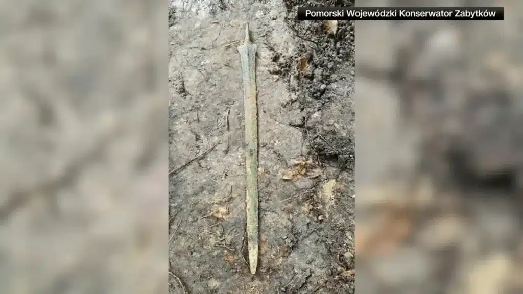 Un homme fait une découverte improbable durant sa balade en forêt : les musées se l'arrachent