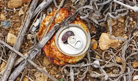 Deux randonneurs ramassent une canette rouillée dans la forêt : à l'intérieur, près de 600 pièces d'or estimées à 330 000 $