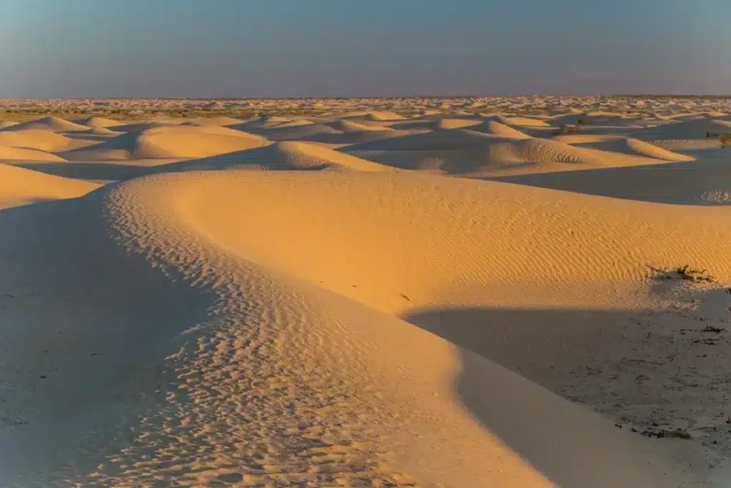 En 7 ans, le Maroc a élevé 2 700 km de remblai en plein désert : ce mur de sable a coupé le Sahara occidental en deux et personne n'en parle