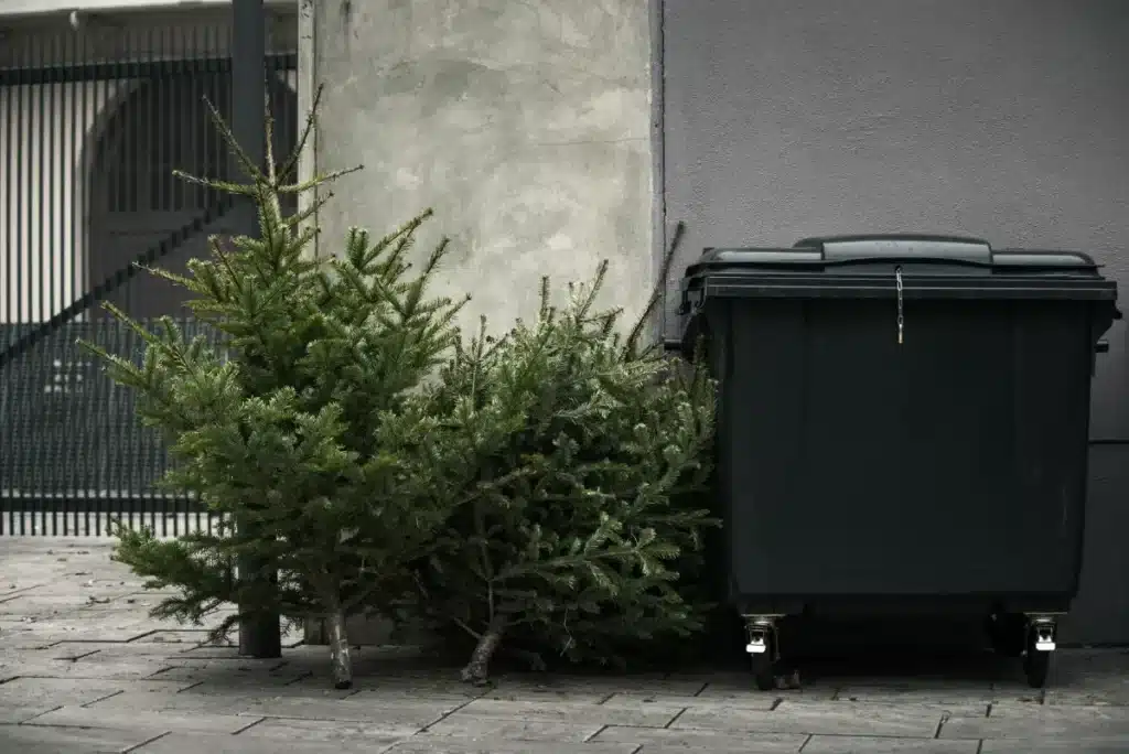 La Nouvelle-Orléans récupère 9 000 sapins de Noël jetés et les envoie par hélicoptère dans ses marais : 200 terrains de football restaurés