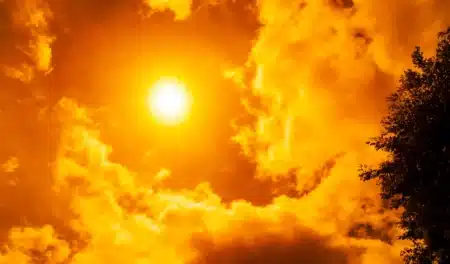 La PDG de Météo-France l'annonce sans détour : les vagues de chaleur seront multipliées par cinq d'ici 2050, « on n'est pas prêts »