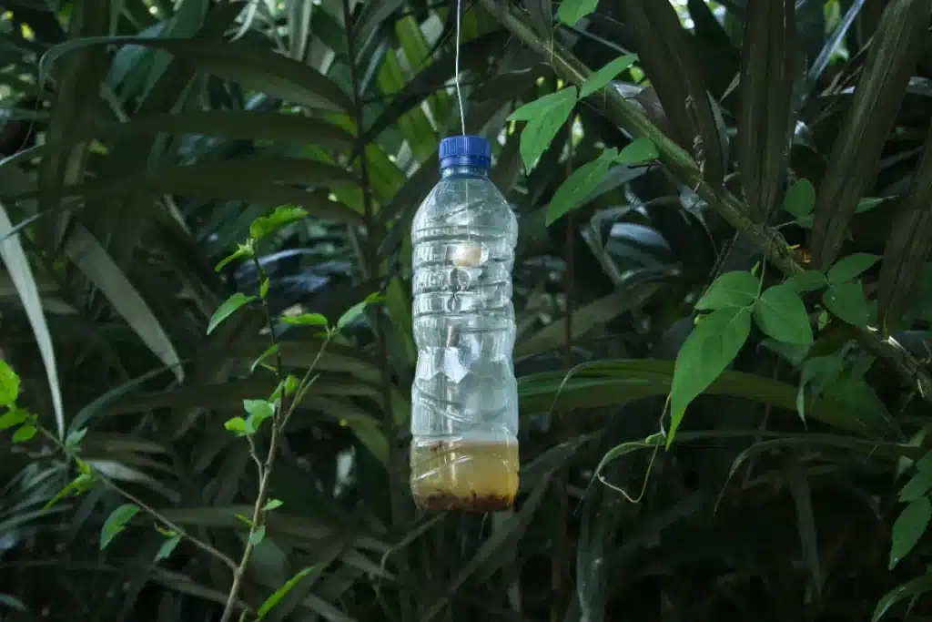 Ni citronnelle ni spray chimique : ce piège avec une simple bouteille vide élimine les guêpes avant même qu'elles n'approchent votre table