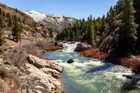 Pendant des années, ils coupaient les arbres tombés dans cette rivière : aujourd'hui, ils en jettent 4 450 et les poissons sont revenus