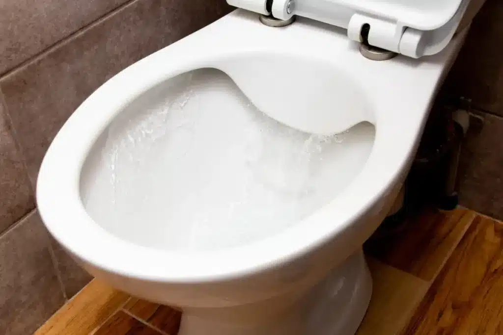 Pourquoi beaucoup de personnes déposent des glaçons dans leurs toilettes : ce geste a plus d'importance qu'on ne le croit