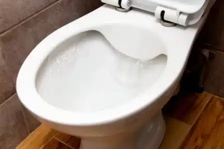 Pourquoi beaucoup de personnes déposent des glaçons dans leurs toilettes : ce geste a plus d'importance qu'on ne le croit