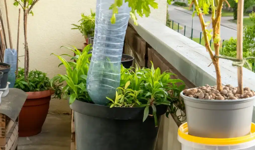 Pourquoi vos grands-parents enterraient des bouteilles dans le jardin : cette technique oubliée remplace un drainage à 200€