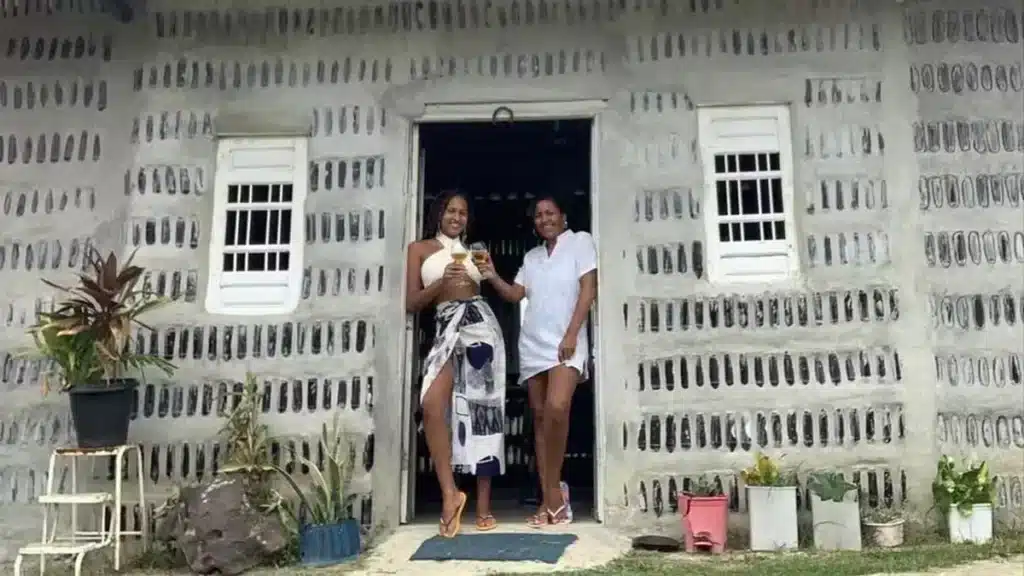 Une mère et sa fille empilent 8 000 bouteilles en verre recyclé, le résultat est une maison de 7 chambres qui impressionne les architectes
