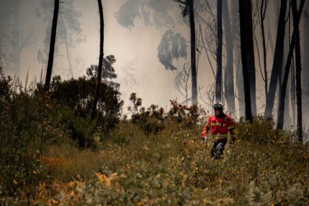 Face aux incendies, l'AGPM débloque 300.000 euros pour ses adhérents