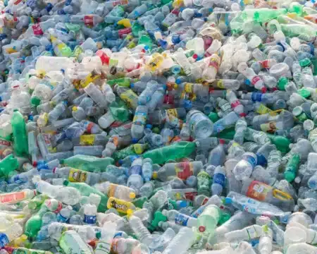 Adieu le béton traditionnel : au Mexique, un homme construit des maisons entières avec du plastique fondu et a 300 contrats signés