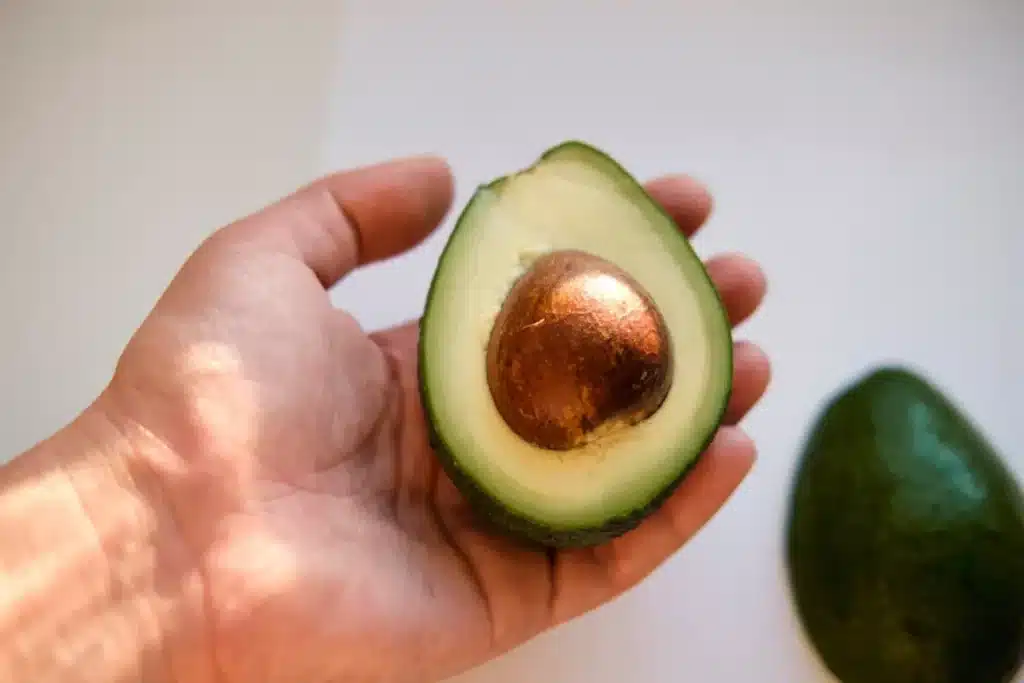 Ce que vous ne devriez jamais faire avec un noyau d'avocat, c'est le jeter : au four, il devient un accessoire de jardin très utile