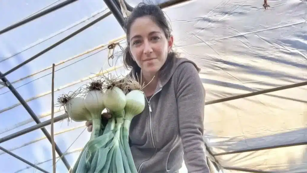 Clara, agricultrice depuis 15 ans, refuse de vendre ses légumes à moitié prix aux grandes surfaces : « Je préfère jeter ma récolte »