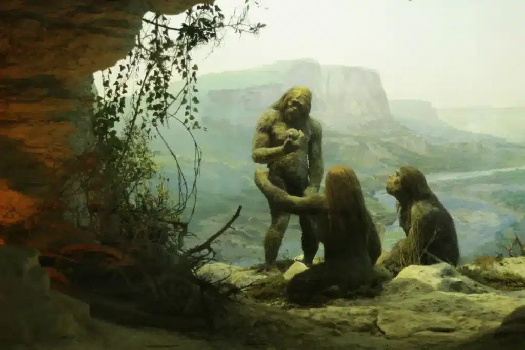 Les scientifiques ont décodé l'ADN du « dernier Néandertalien », bouleversant l'histoire humaine