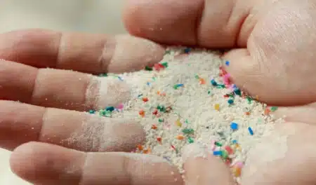 Microplastiques : aucune parcelle agricole européenne n'y échappe