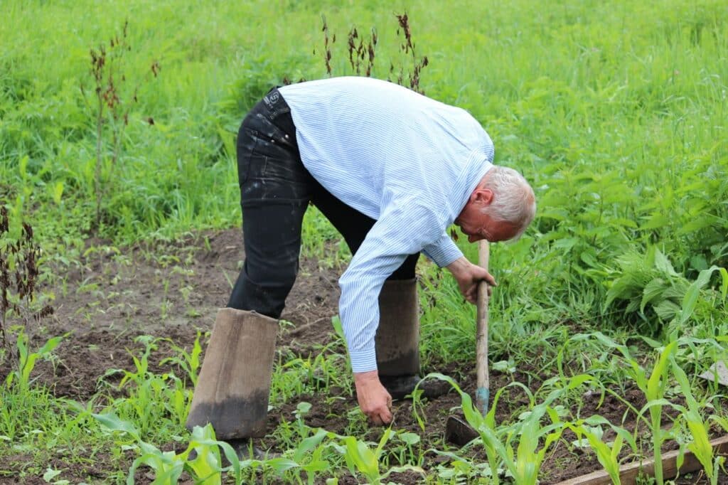 agriculteurs-le-credit-agricole-mise-sur-la-rse-pour-soutenir-lemploi-rural
