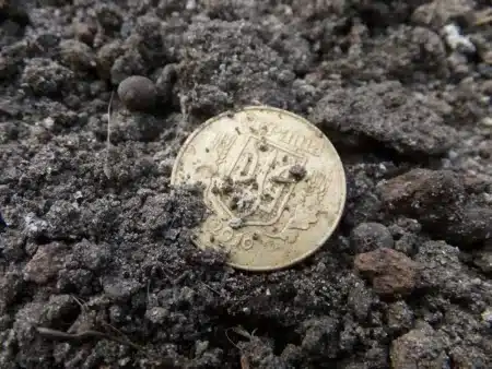 Des archéologues mettent au jour un trésor d'or dans 22 000 sacs d'artefacts anciens pendant une enquête sur une autoroute