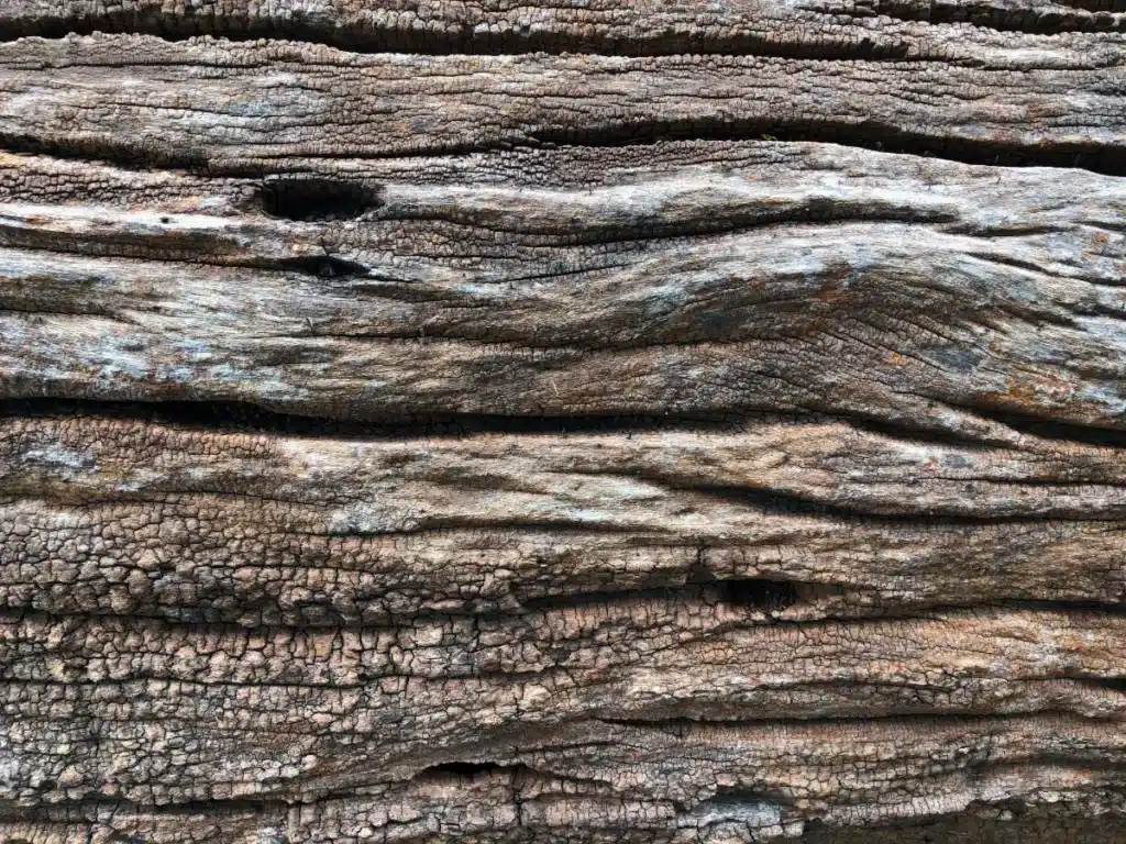 Des archéologues ont trouvé une structure en bois datant de 476 000 ans. L'identité des bâtisseurs reste inconnue