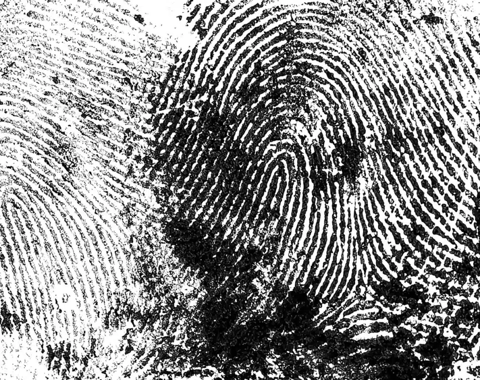 Des scientifiques trouvent des empreintes digitales de 15 000 ans d'une civilisation ancienne