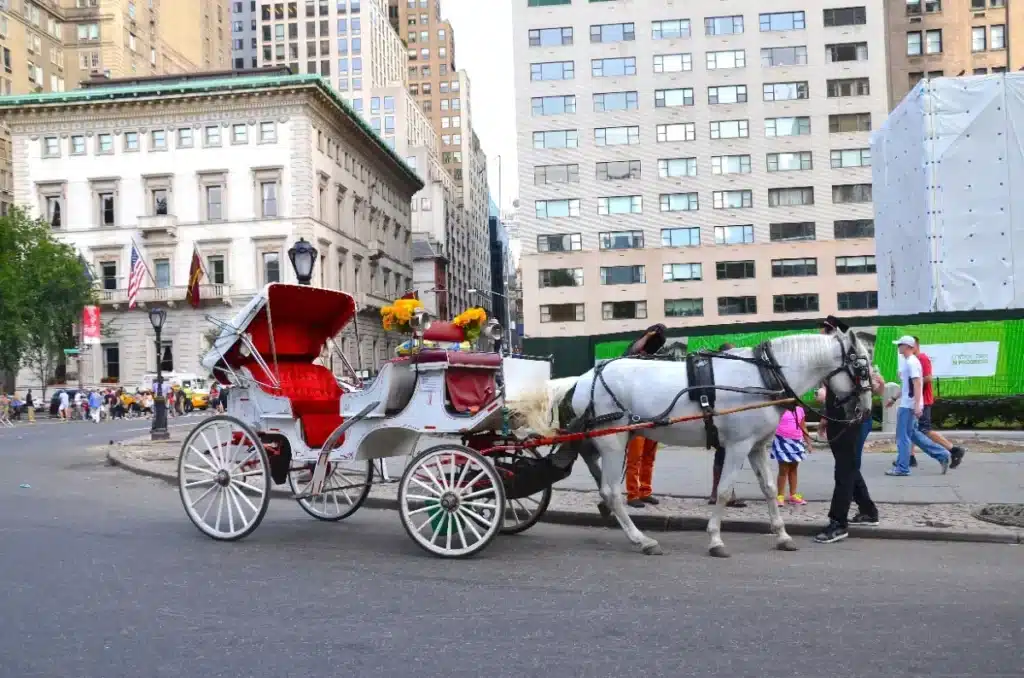 « Je nourris ma famille grâce à ces chevaux » : le conseil municipal de New York s'apprête à interdire les calèches de Central Park