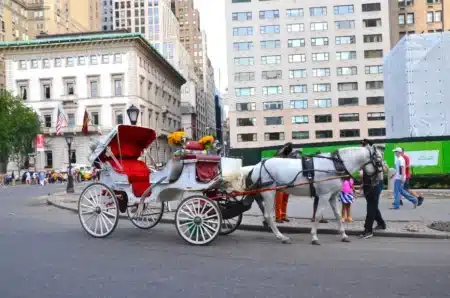 « Je nourris ma famille grâce à ces chevaux » : le conseil municipal de New York s'apprête à interdire les calèches de Central Park