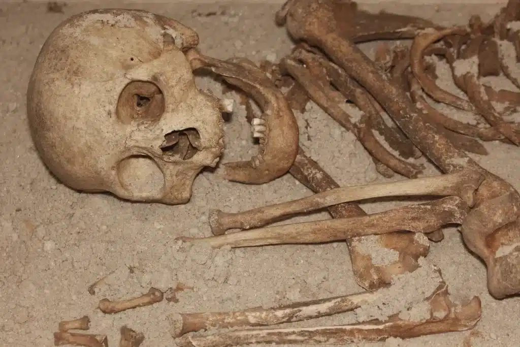 Un crâne a roulé sur une pente de carrière en 1955. Ce cimetière de l'âge du fer pourrait maintenant être le troisième plus vaste au monde