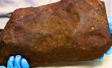 Un homme a conservé une roche pendant des années, croyant qu'il s'agissait d'or, mais c'était un fragment du système solaire âgé de 4,6 milliards d'années