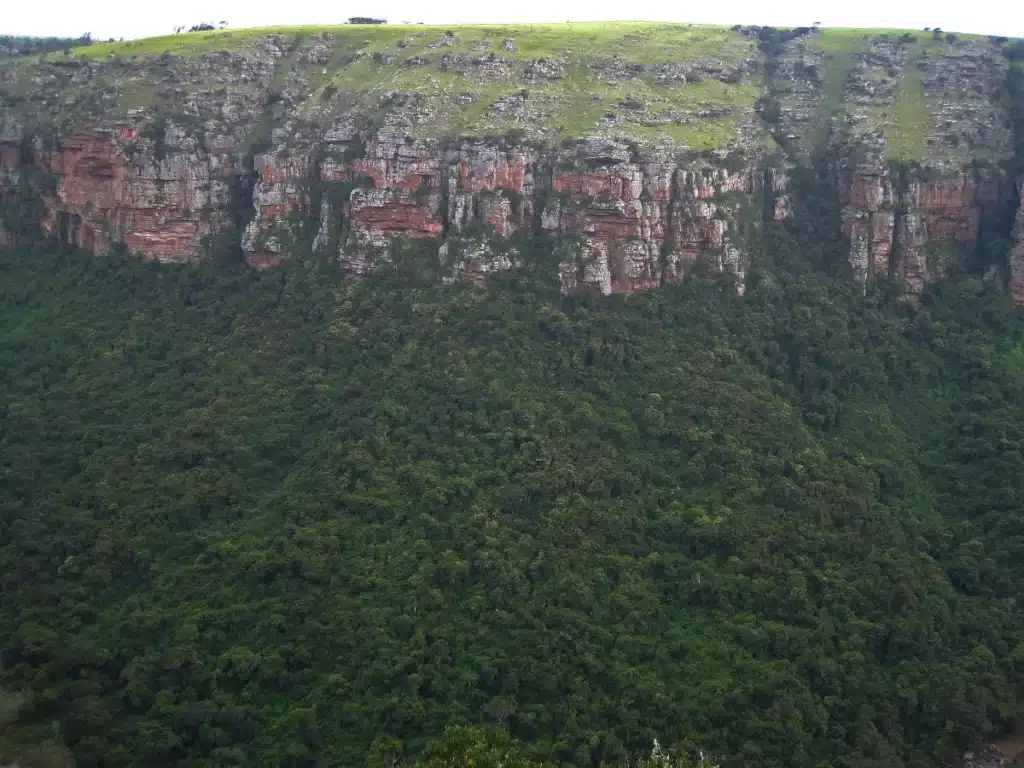Une forêt sous-terraine âgée de 128 000 ans trouvée à 626 mètres de profondeur dans le puits céleste chinois Xiaozhai Tiankeng abritant des espèces très rares